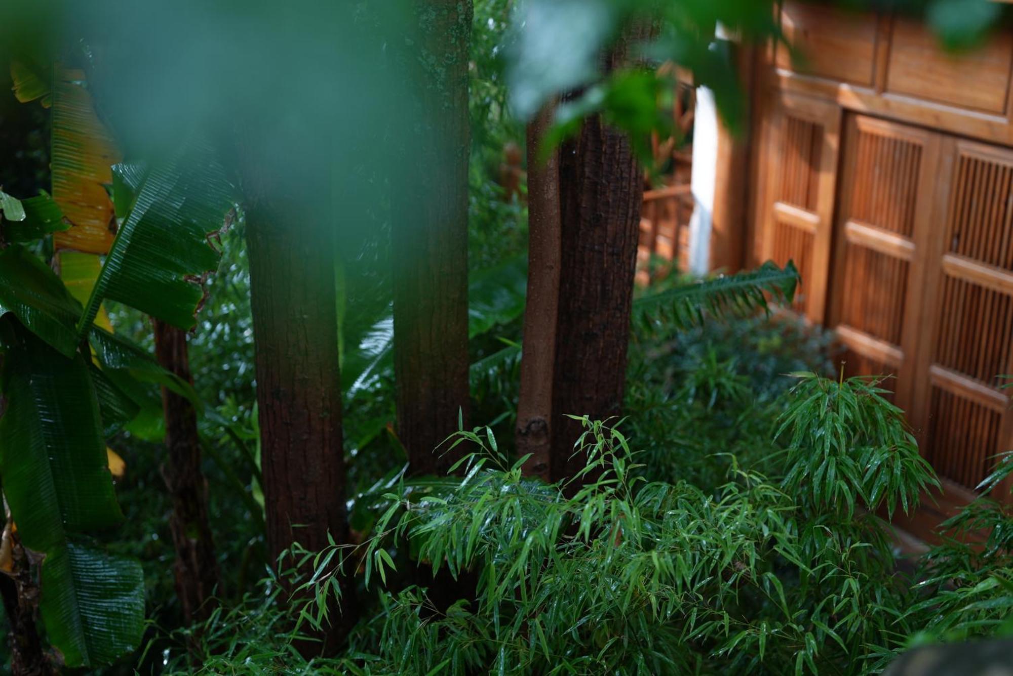 吾爱堂 Appartement Lijiang  Buitenkant foto
