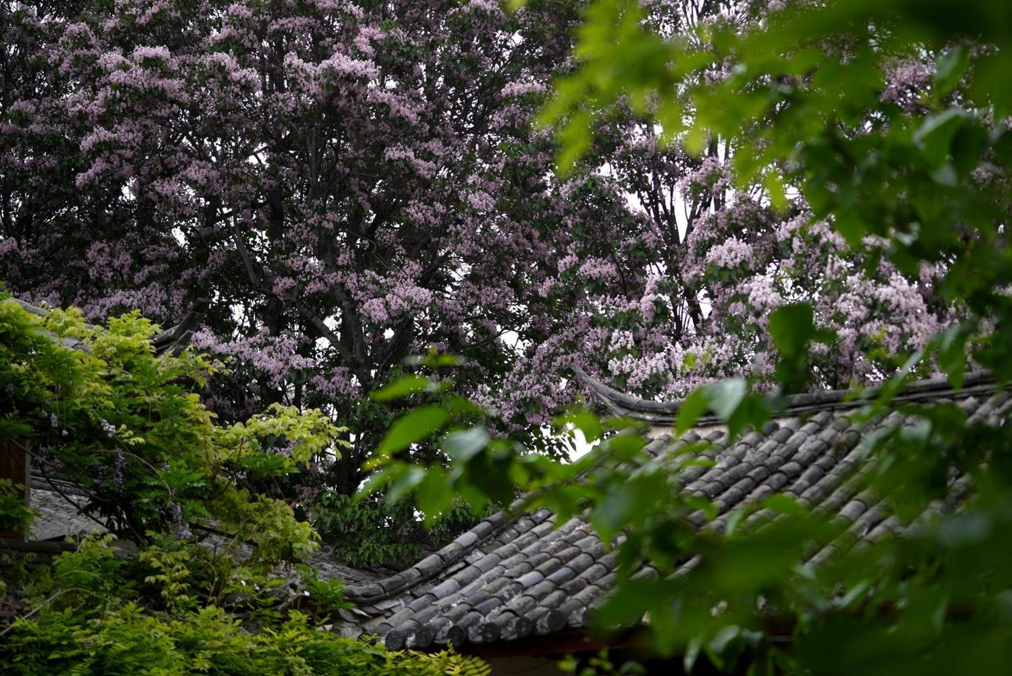 吾爱堂 Appartement Lijiang  Buitenkant foto