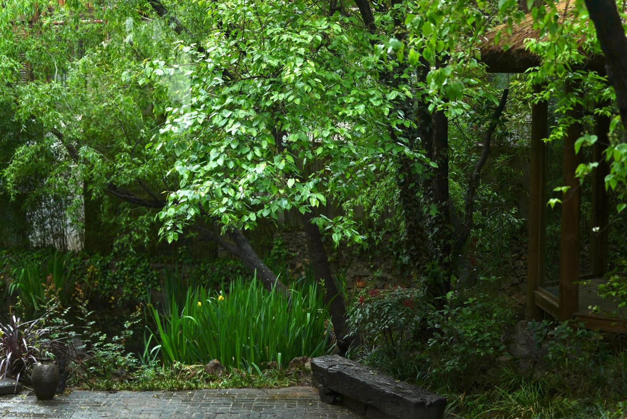 吾爱堂 Appartement Lijiang  Buitenkant foto