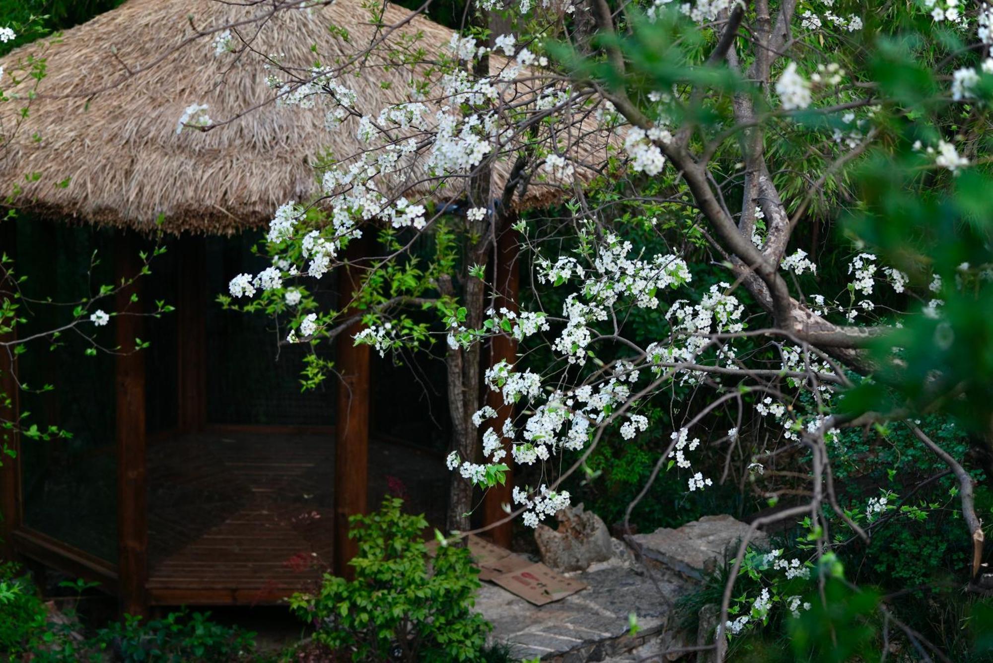 吾爱堂 Appartement Lijiang  Buitenkant foto