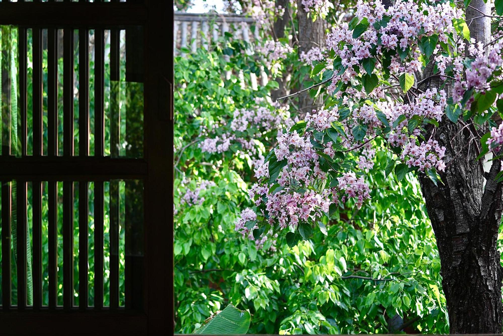 吾爱堂 Appartement Lijiang  Buitenkant foto